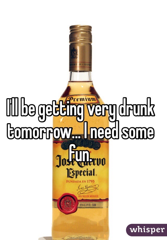 I'll be getting very drunk tomorrow... I need some fun. 