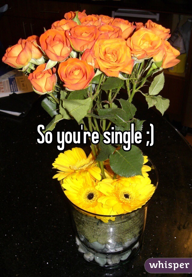 So you're single ;)