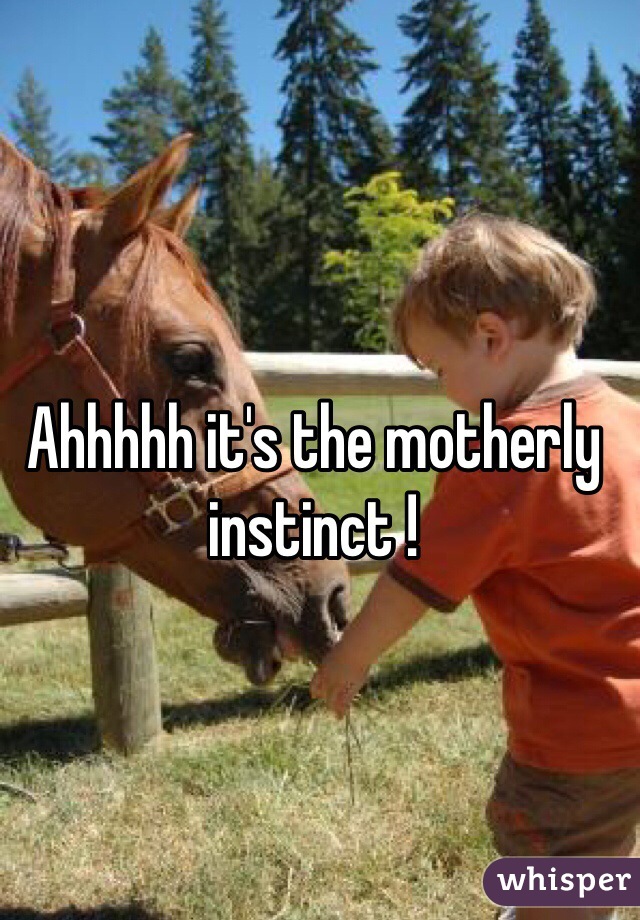 Ahhhhh it's the motherly instinct !