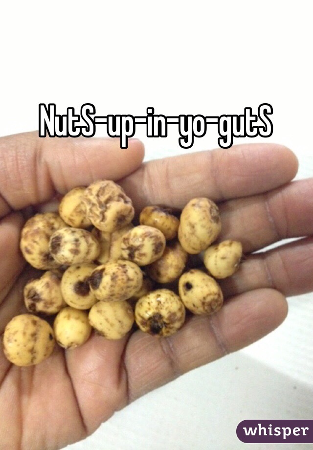 NutS-up-in-yo-gutS