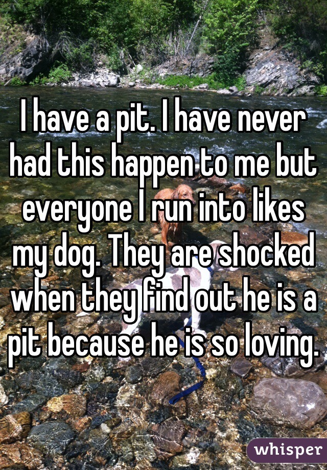 I have a pit. I have never had this happen to me but everyone I run into likes my dog. They are shocked when they find out he is a pit because he is so loving. 