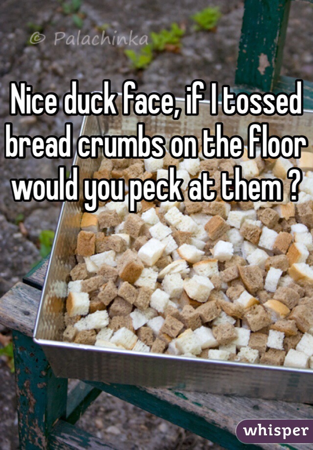 Nice duck face, if I tossed bread crumbs on the floor would you peck at them ?