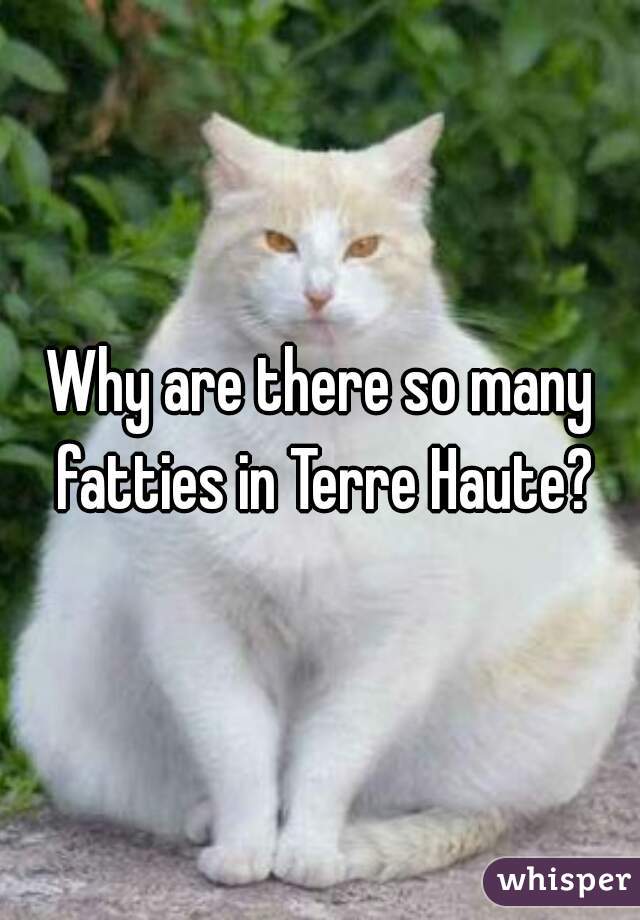 Why are there so many fatties in Terre Haute?
