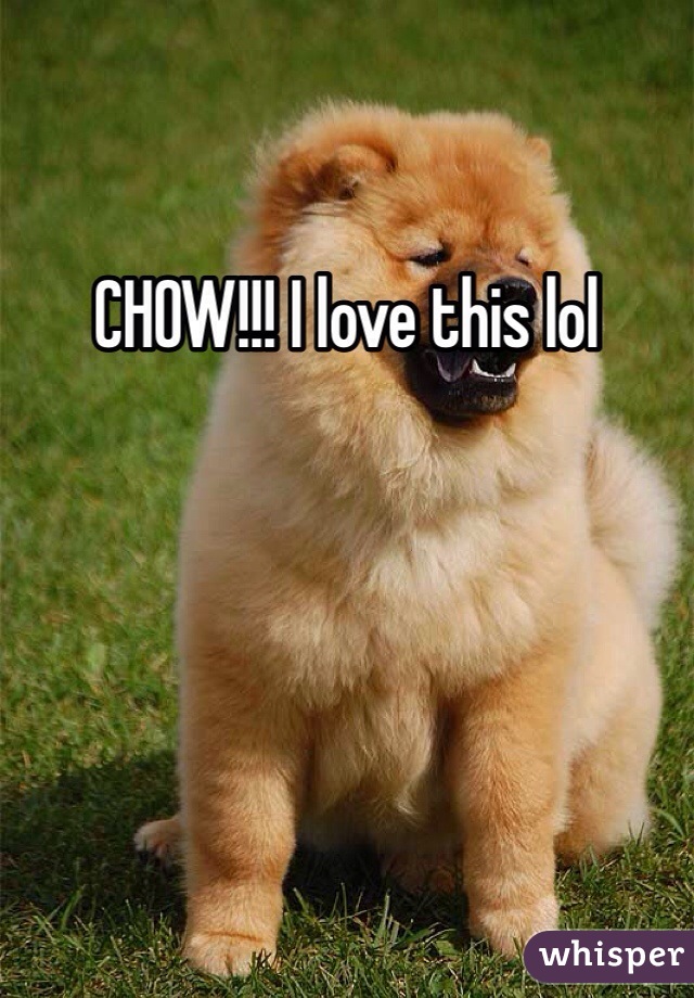 CHOW!!! I love this lol 