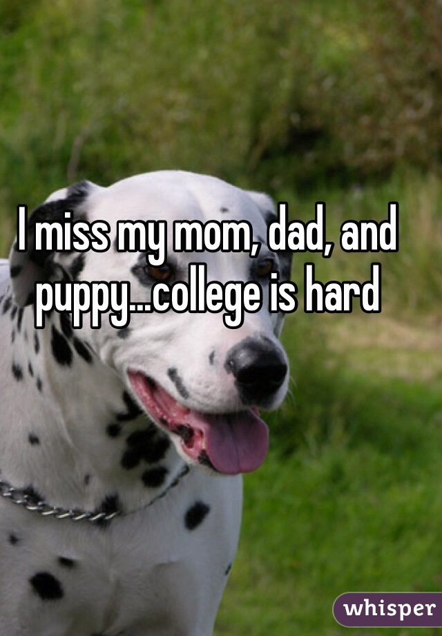 I miss my mom, dad, and puppy...college is hard