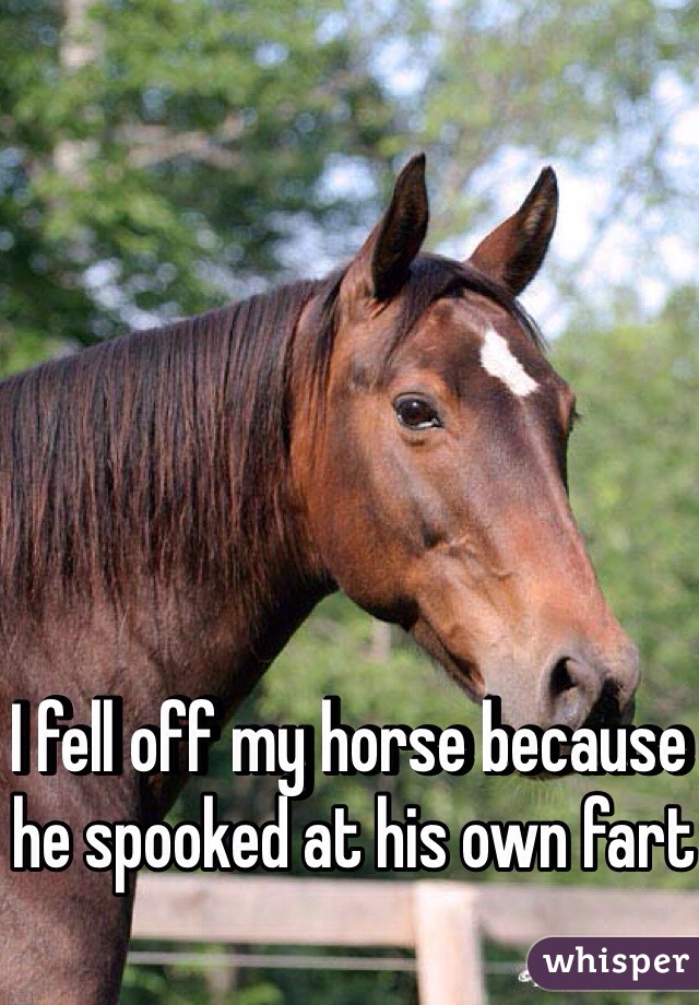 I fell off my horse because he spooked at his own fart