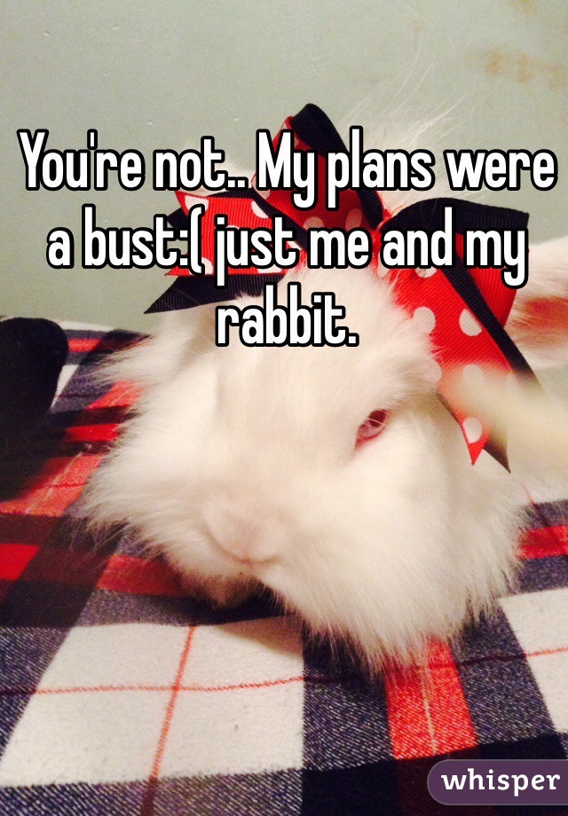 You're not.. My plans were a bust:( just me and my rabbit. 