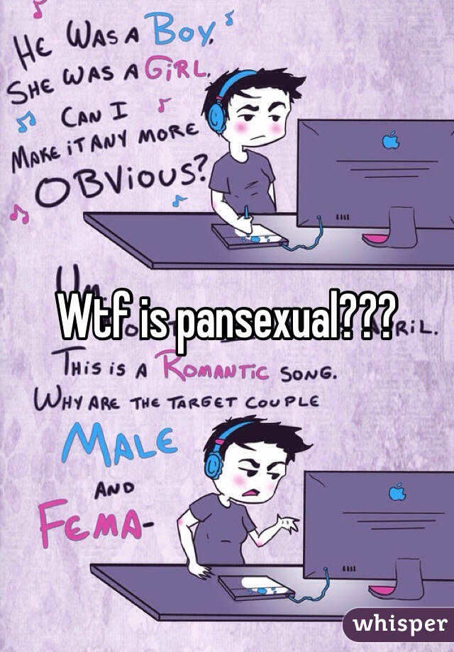 Wtf is pansexual???