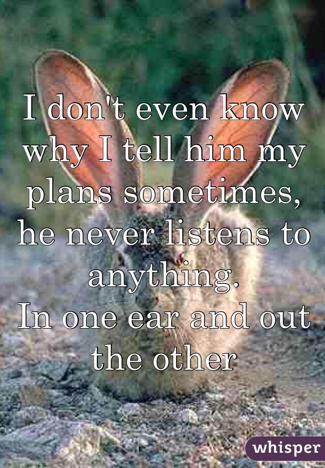 I don't even know why I tell him my plans sometimes, he never listens to anything.
In one ear and out the other 