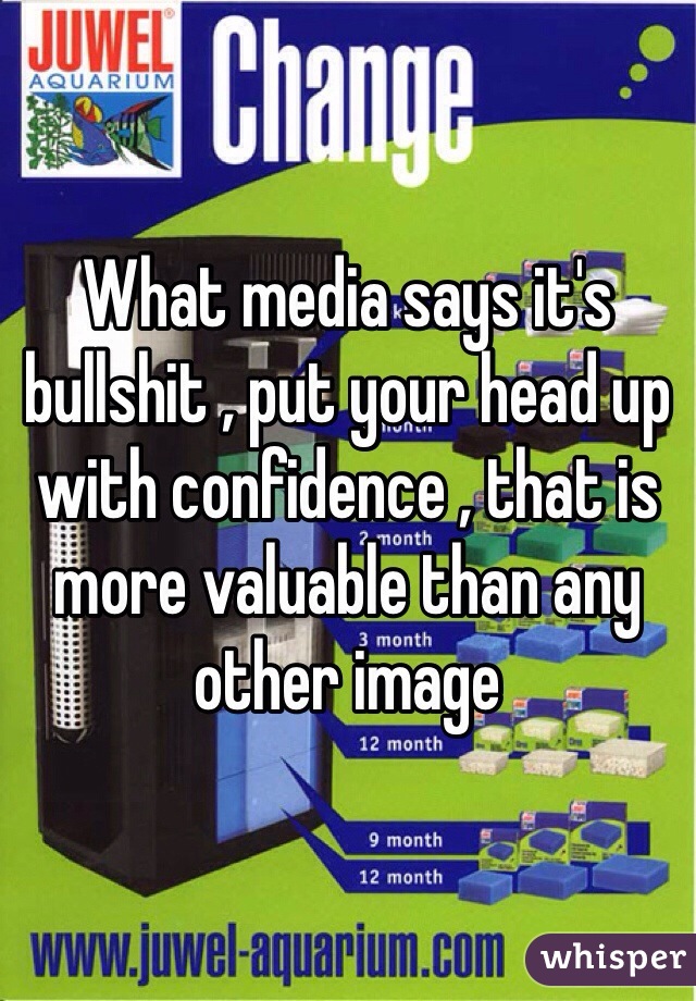 What media says it's bullshit , put your head up with confidence , that is more valuable than any other image 
