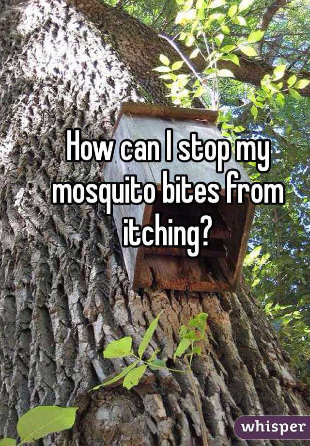 How can I stop my mosquito bites from itching?