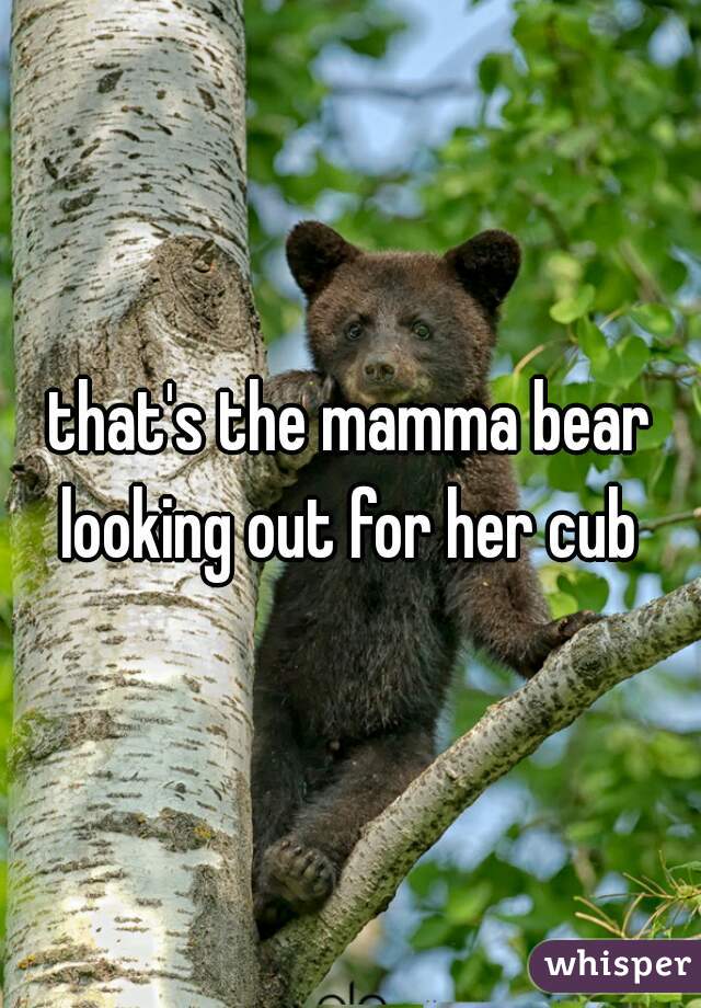 that's the mamma bear looking out for her cub 