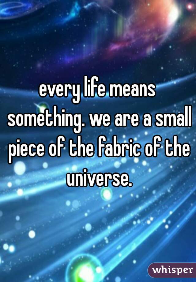 every life means something. we are a small piece of the fabric of the universe.