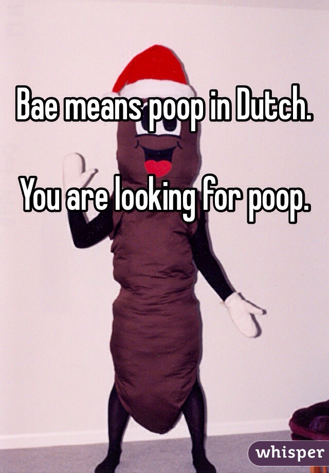 Bae means poop in Dutch. 

You are looking for poop. 