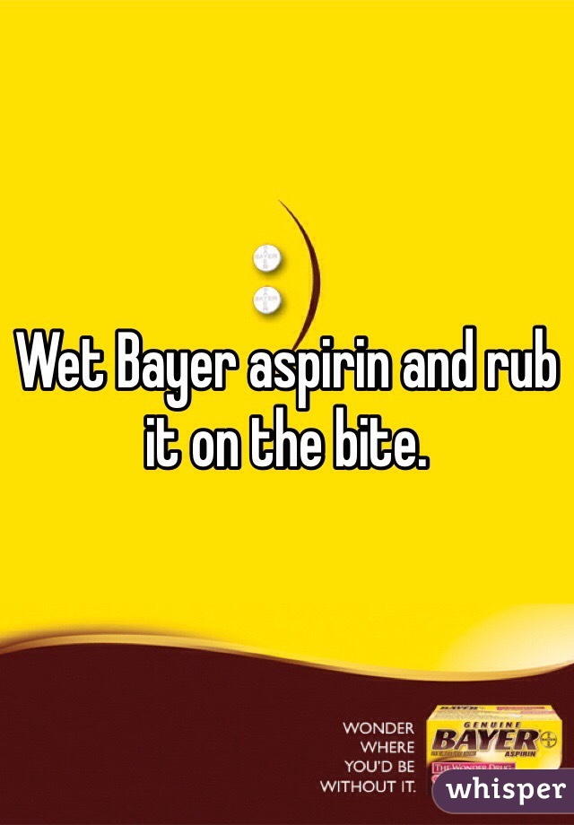 Wet Bayer aspirin and rub it on the bite.