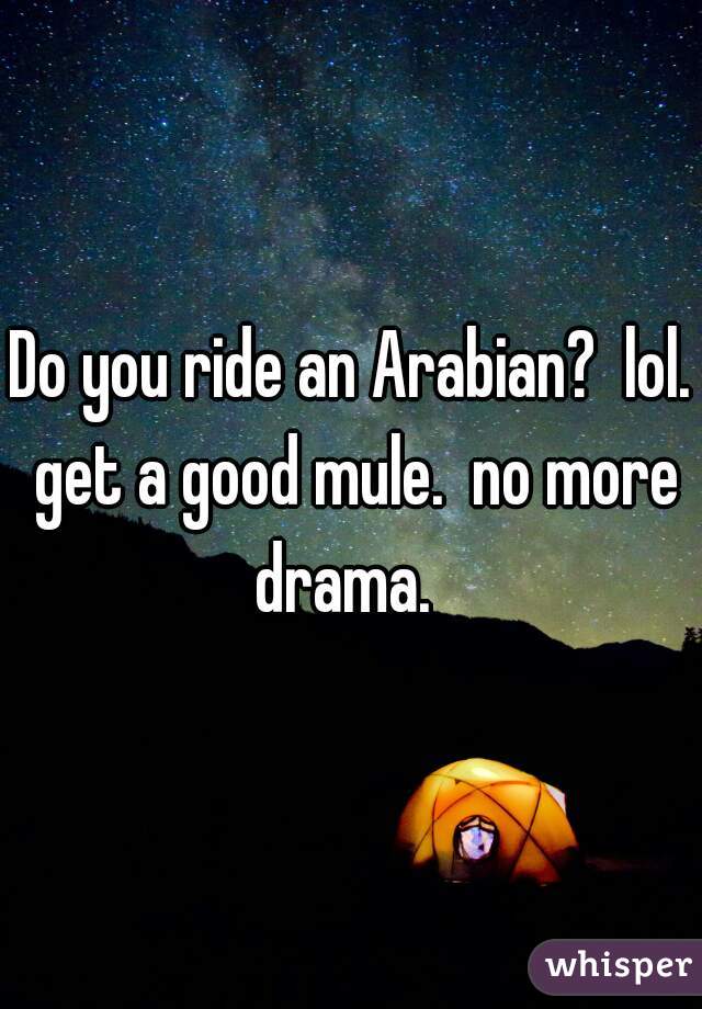 Do you ride an Arabian?  lol. get a good mule.  no more drama.  