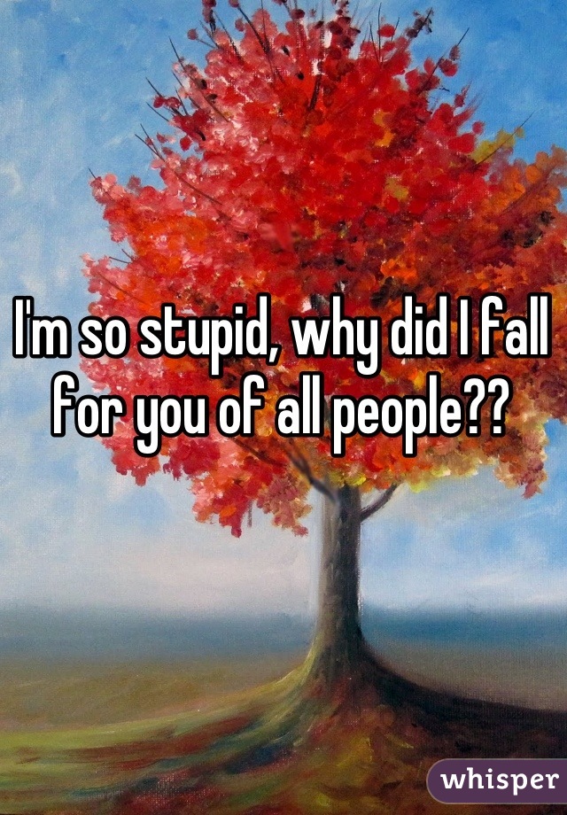 I'm so stupid, why did I fall for you of all people??