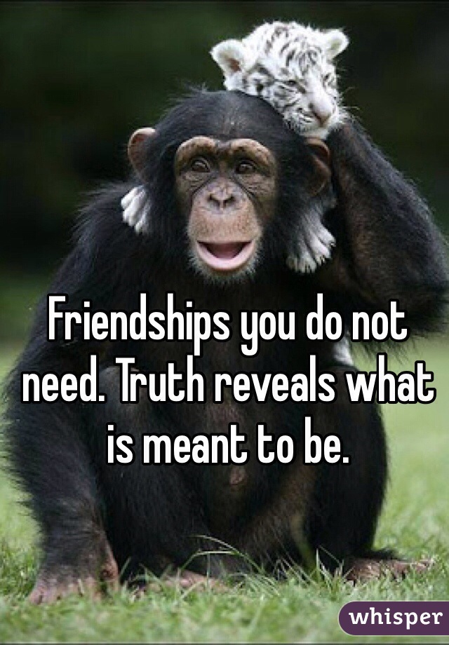 Friendships you do not need. Truth reveals what is meant to be.