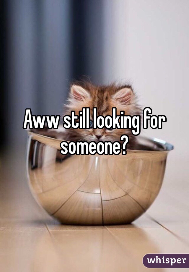 Aww still looking for someone? 