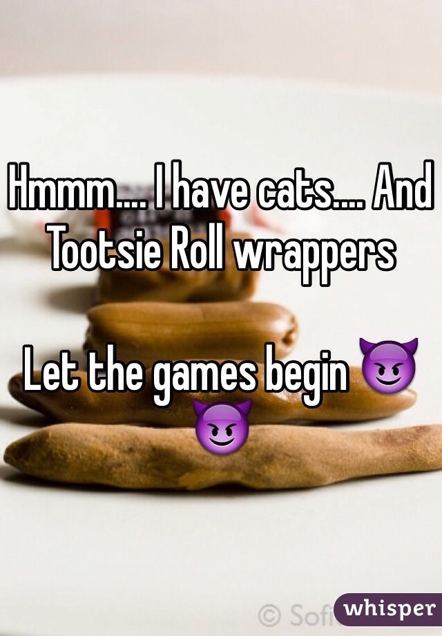Hmmm.... I have cats.... And Tootsie Roll wrappers

Let the games begin 😈😈
