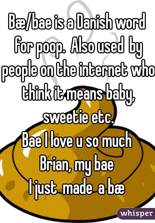 Bæ/bae is a Danish word for poop. Also used by people on the internet who think it means baby, sweetie etc.

Bae I love u so much

Brian, my bae

I just made a bæ


