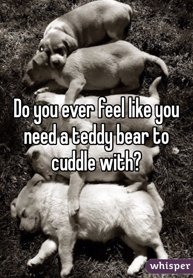 Do you ever feel like you need a teddy bear to cuddle with?