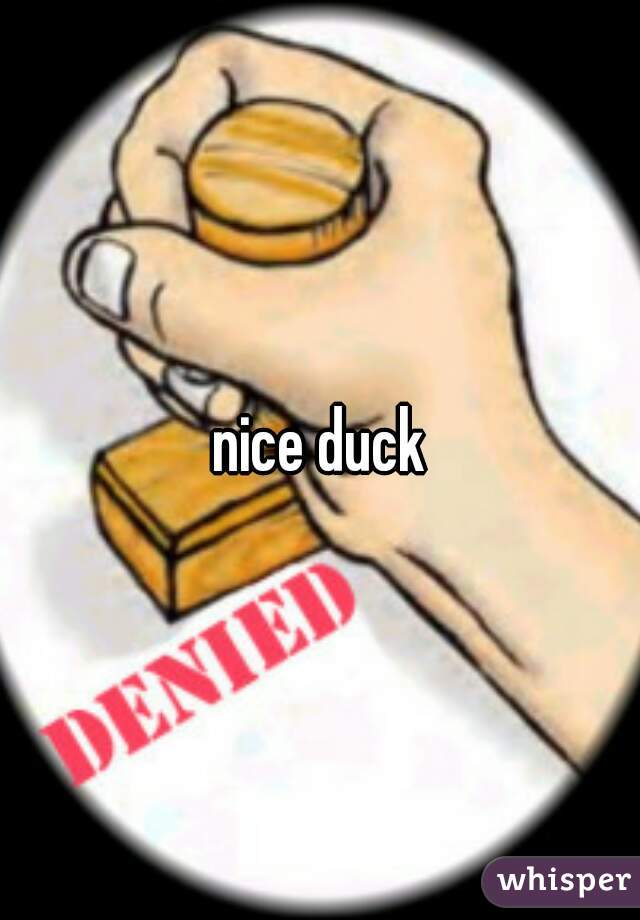 nice duck