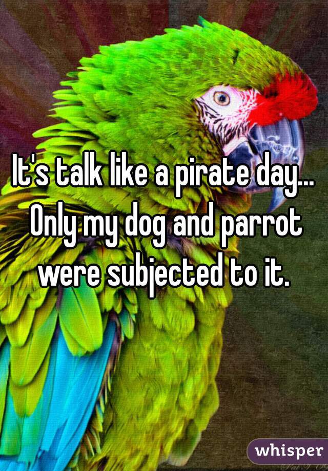It's talk like a pirate day... Only my dog and parrot were subjected to it. 
