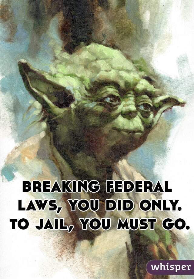 breaking federal laws, you did only. to jail, you must go.