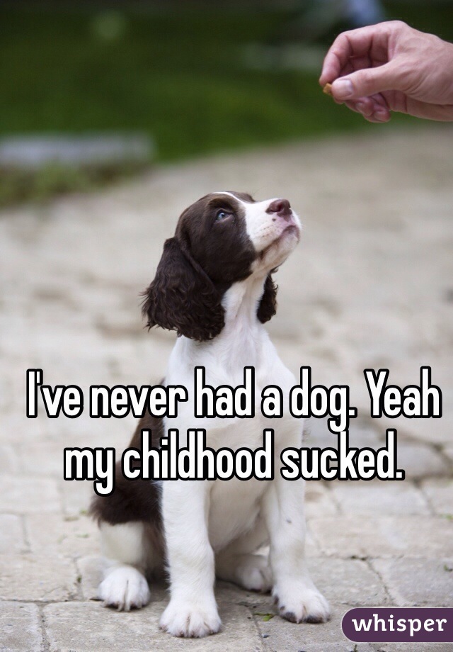 I've never had a dog. Yeah my childhood sucked. 