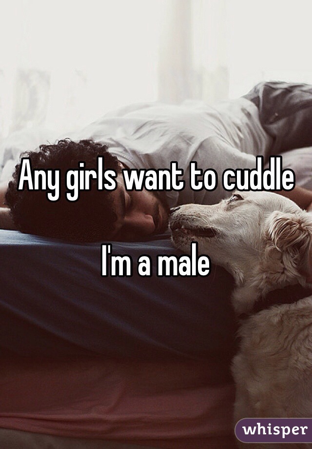 Any girls want to cuddle

I'm a male 