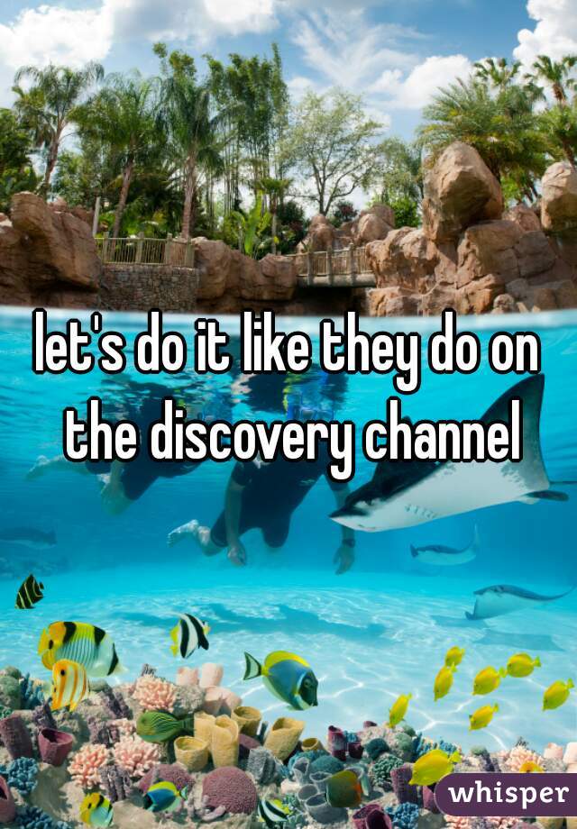 let's do it like they do on the discovery channel