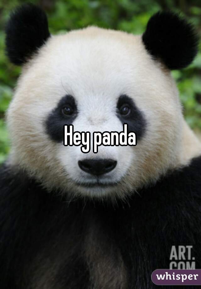 Hey panda