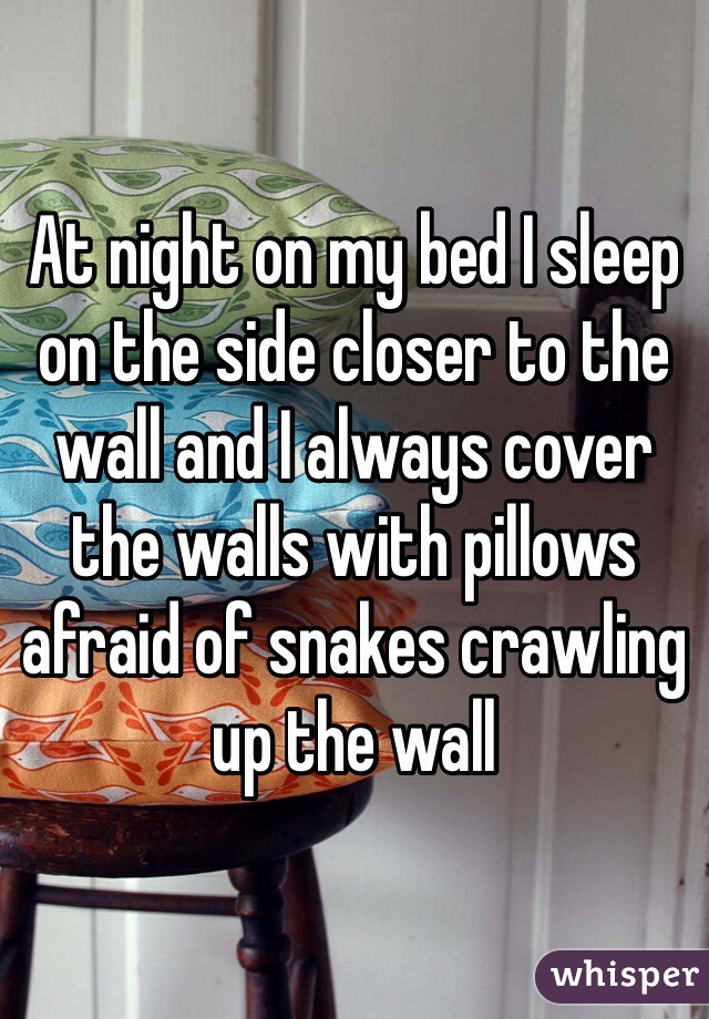 At night on my bed I sleep on the side closer to the wall and I always cover the walls with pillows afraid of snakes crawling up the wall