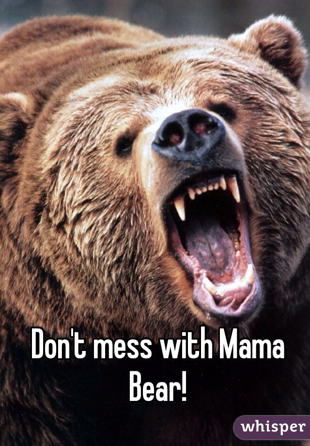 Don't mess with Mama Bear!