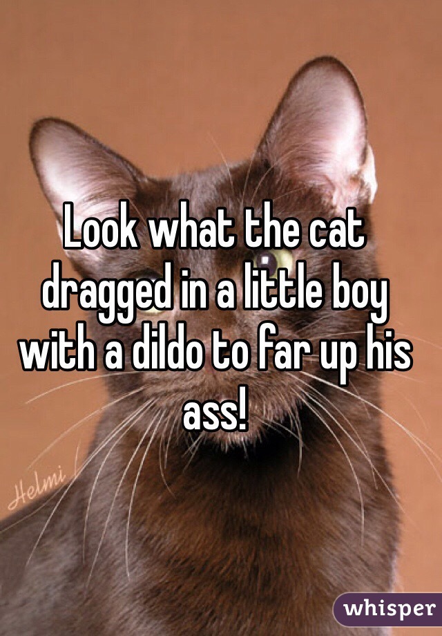 Look what the cat dragged in a little boy with a dildo to far up his ass!