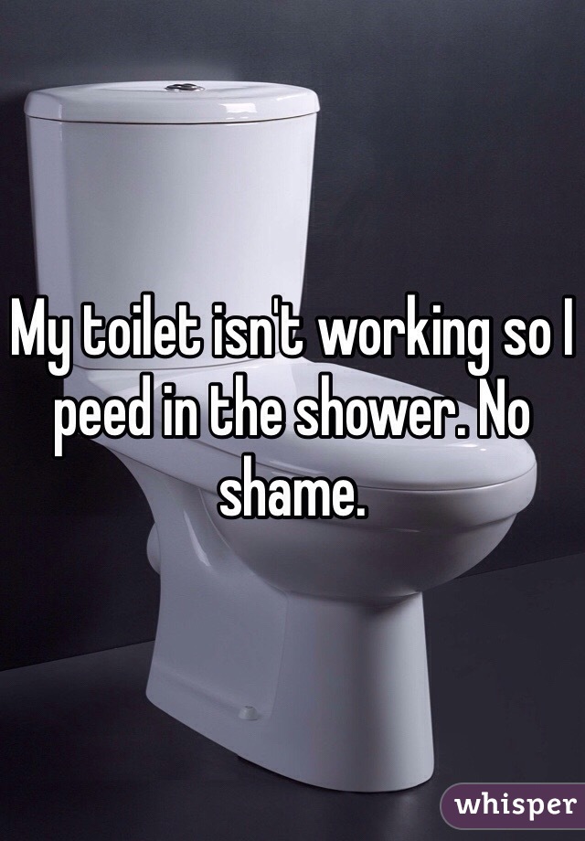 My toilet isn't working so I peed in the shower. No shame.
