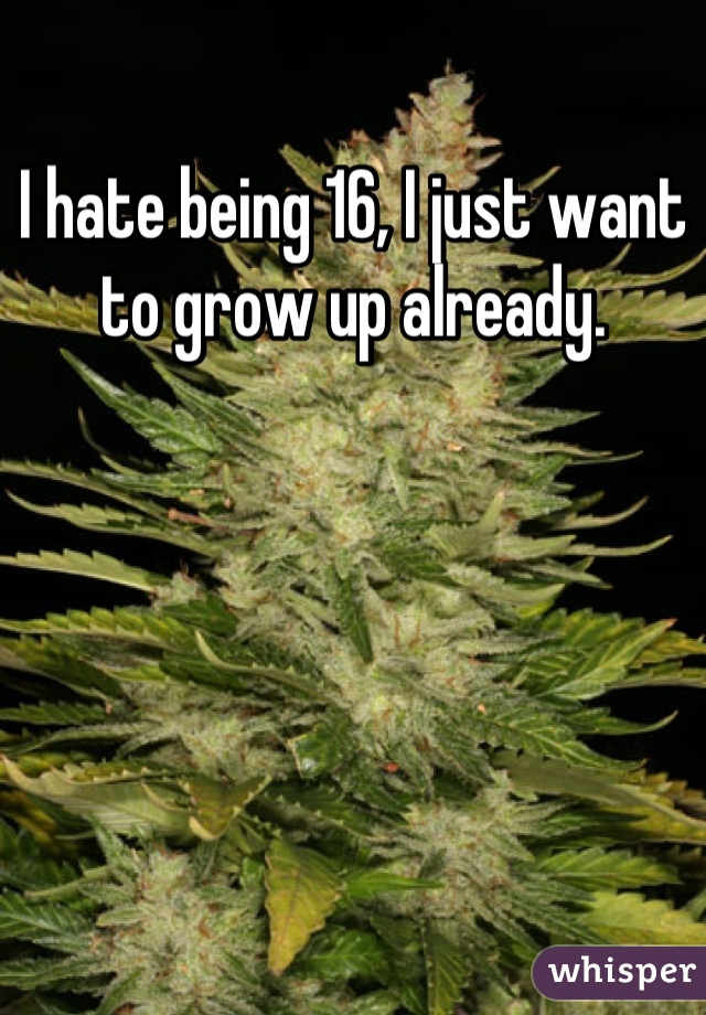 I hate being 16, I just want to grow up already.