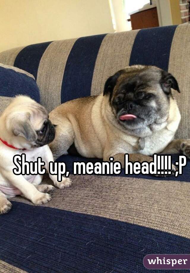 Shut up, meanie head!!!! ;P