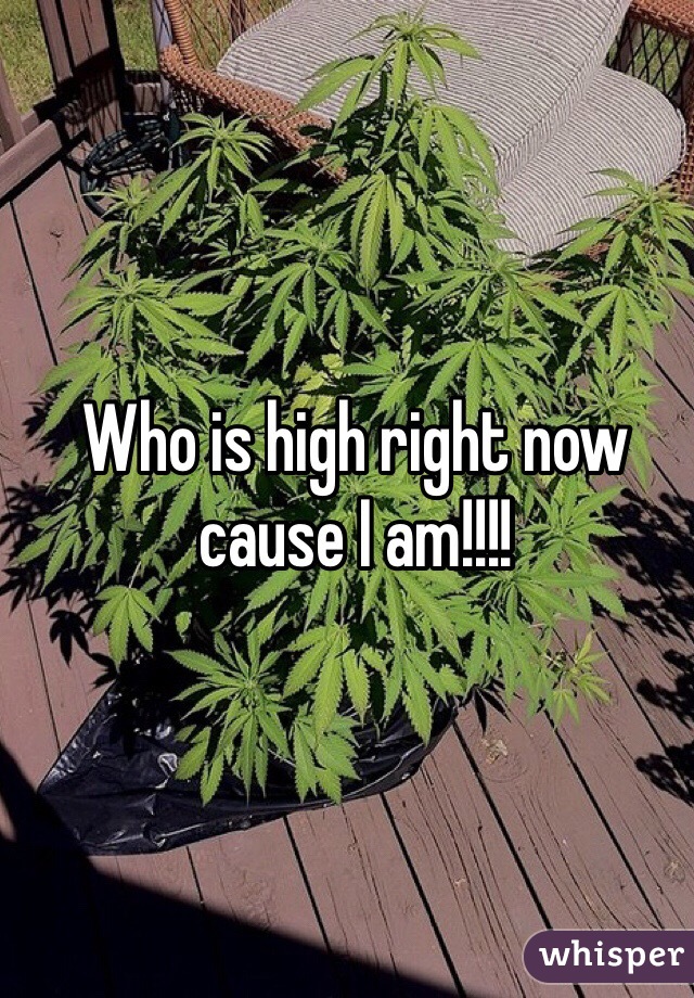 Who is high right now cause I am!!!!
