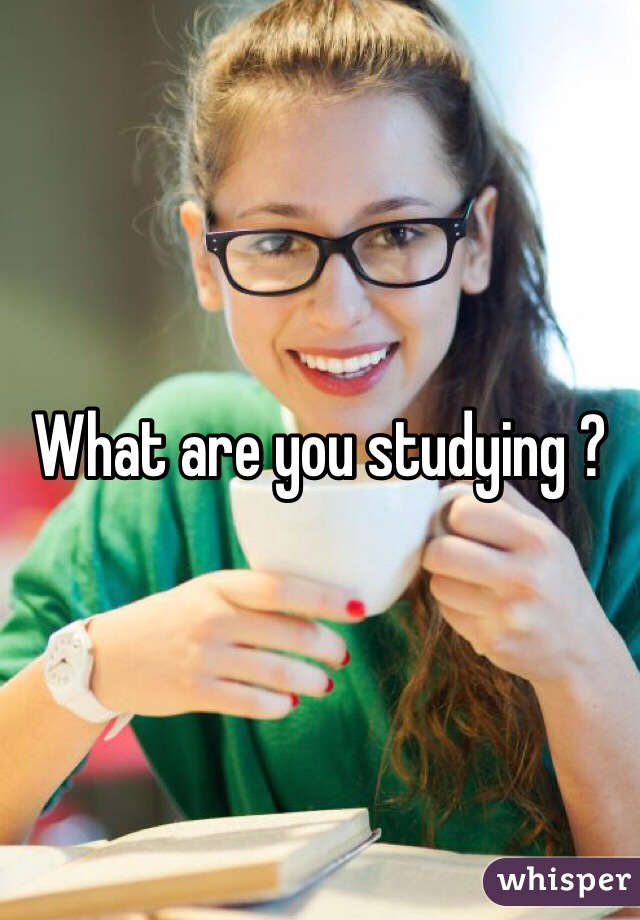 What are you studying ? 