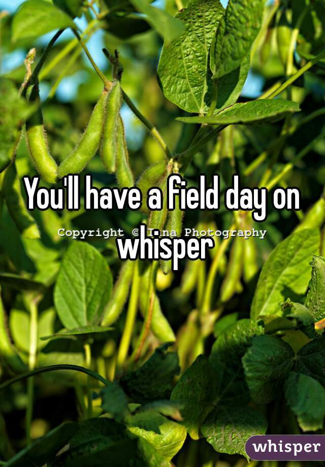 You'll have a field day on whisper