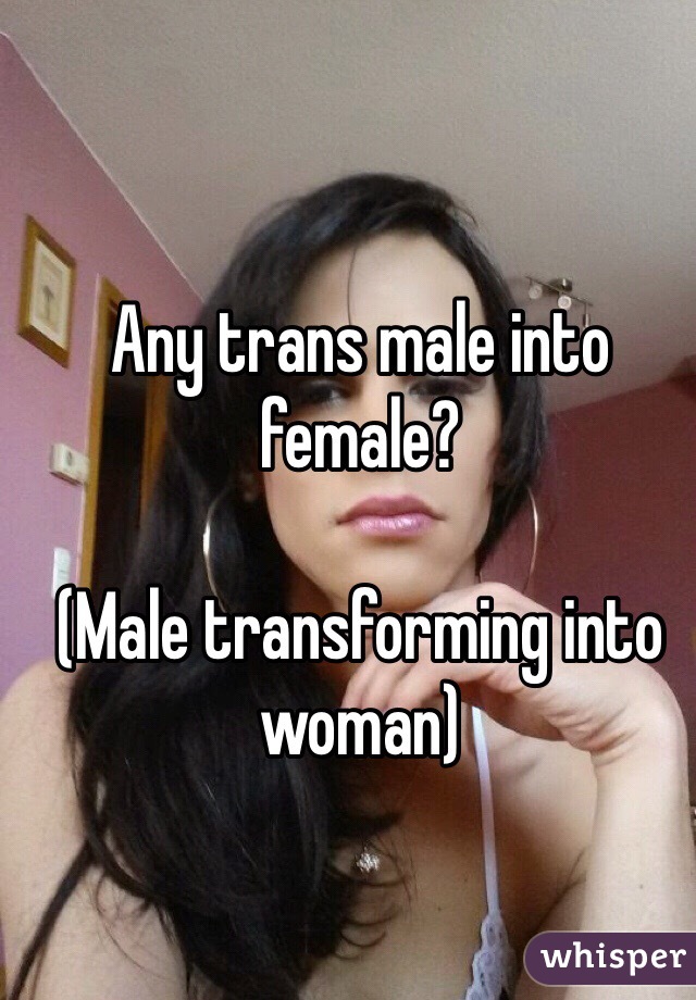 Any trans male into female?

(Male transforming into woman)