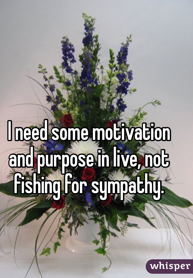 I need some motivation and purpose in live, not fishing for sympathy.