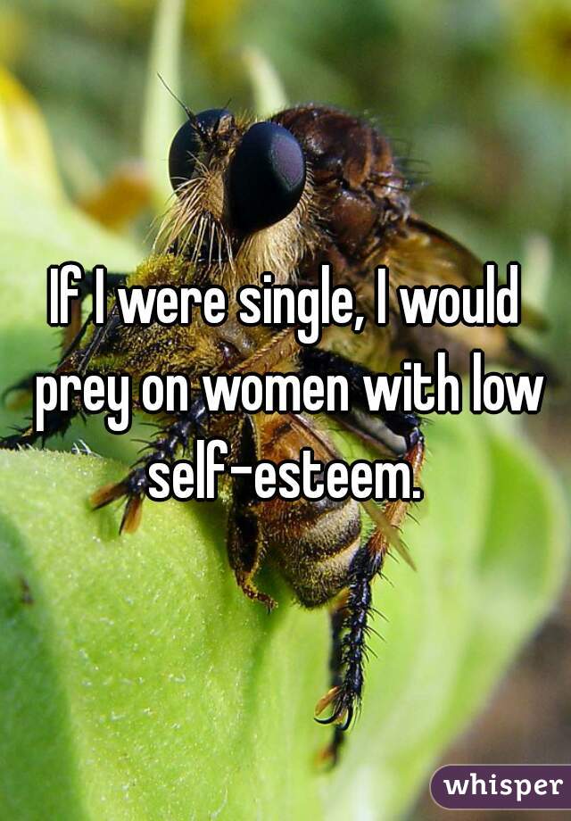 If I were single, I would prey on women with low self-esteem. 