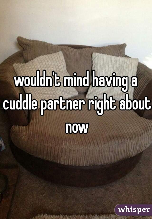 wouldn't mind having a cuddle partner right about now