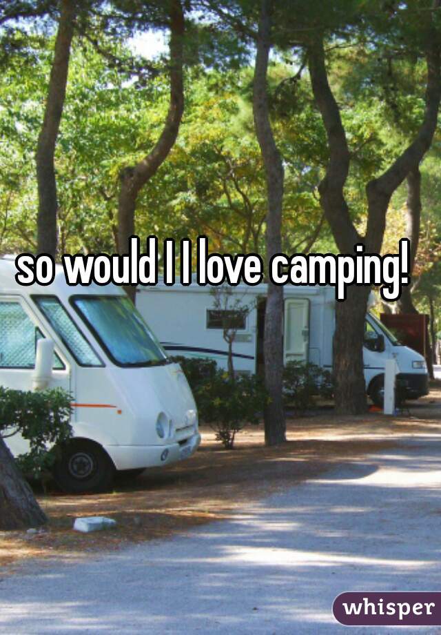 so would I I love camping!