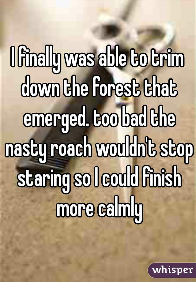 I finally was able to trim down the forest that emerged. too bad the nasty roach wouldn't stop staring so I could finish more calmly
