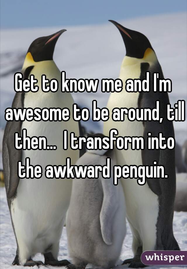 Get to know me and I'm awesome to be around, till then...  I transform into the awkward penguin. 