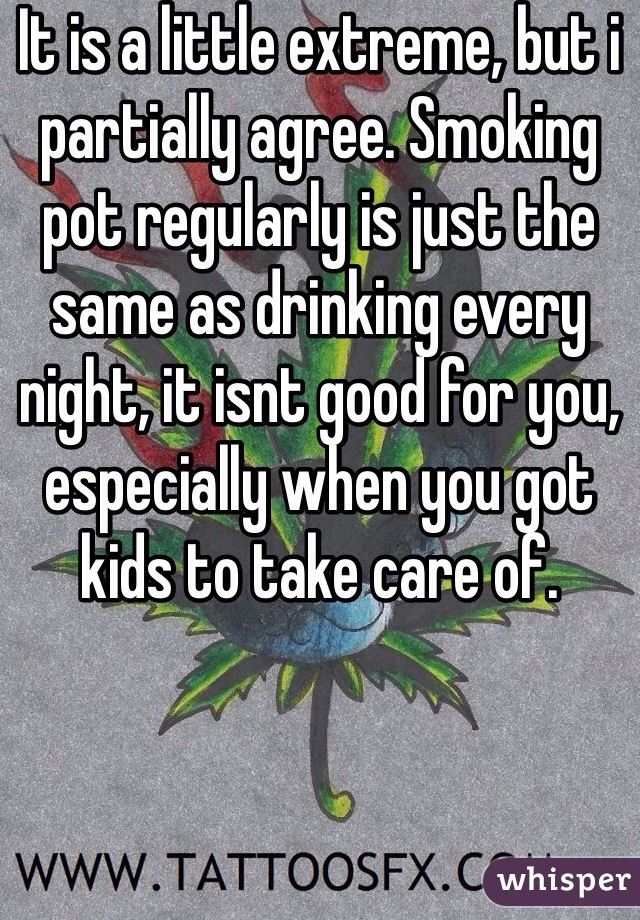 It is a little extreme, but i partially agree. Smoking pot regularly is just the same as drinking every night, it isnt good for you, especially when you got kids to take care of. 